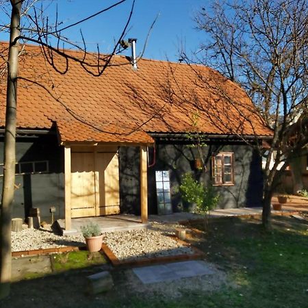 Appartement Kuca Za Odmor Tupek à Zagreb Extérieur photo