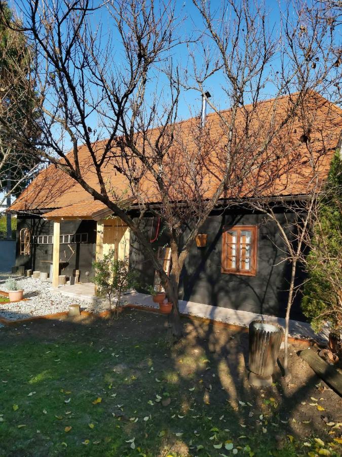 Appartement Kuca Za Odmor Tupek à Zagreb Extérieur photo